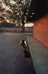 Untitled (reflection in puddle) by William Eggleston, circa 1970-1974, Dye transfer print, printed 2012, sold Jun 2025