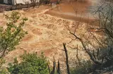 William Eggleston, Untitled (flooded river)