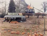 Joel Sternfeld, McLean, Virginia, December 4, 1978, Dye transfer print, printed 1998