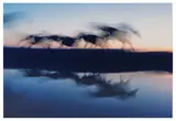 Ernst Haas, Wild Horses, Nevada, 1957, Dye transfer print, printed 1992