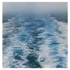 Alison Rossiter, Wake (New Foundland), 1995, Dye transfer print, printed 2009