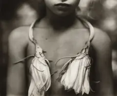 Sally Mann, Night Blooming Cereus, 1988, Gelatin silver print