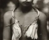 Sally Mann, Night Blooming Cereus, 1988, Gelatin silver print