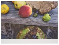 Peach alive by Wolfgang Tillmans, 2016, Inkjet print, printed 2017, sold Oct 2025