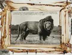 Peter Beard, Serengeti Lion, 1976, Unique work, comprising a gelatin silver print with applied blood, ink, and affixed photographs, executed 2006