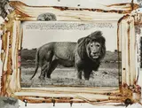 Peter Beard, Serengeti Lion, 1976, Unique work, comprising a gelatin silver print with applied blood, ink, and affixed photographs, executed 2006