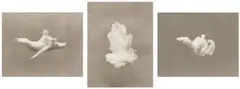 Vik Muniz, Selected Images from Equivalents, 1993, Three platinum prints