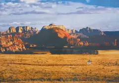 Jose Dávila, Untitled (Cowboy) (Plains), 2013, Archival pigment print with cut-out, flush-mounted
