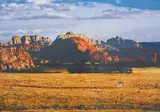 Jose Dávila, Untitled (Cowboy) (Plains), 2013, Archival pigment print with cut-out, flush-mounted