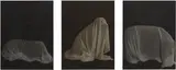 William Wegman, Man Ray Under Sheet