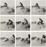 William Wegman, Building a Box