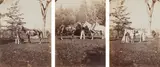 Lewis Morris Rutherfurd, Selected Equestrian Studies, circa 1863, Three full-negative albumen prints and two carte-de-visite-sized albumen prints