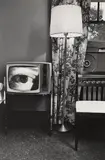 Lee Friedlander, Washington, D.C., 1962, Gelatin silver print, printed later