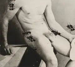 David Wojnarowicz, Untitled (Desire), 1988, Gelatin silver print