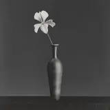 Robert Mapplethorpe, Orchid, 1988, Gelatin silver print, printed 1988