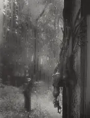 Window of my Studio by Josef Sudek, 1944-1953, Gelatin silver print, printed later, sold Oct 2025