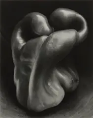 Pepper #30 by Edward Weston, 1930, Gelatin silver print, printed later by Cole Weston, sold Oct 2025