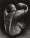 Edward Weston, Pepper #30