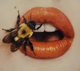 Irving Penn, Bee (A), New York