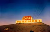 William Eggleston, Untitled (Peaches!), 1973, Dye transfer print, printed 2015