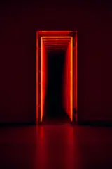 Iván Navarro, Exit (Baum), 2007, neon, glass, aluminum door and one-way mirror