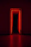 Iván Navarro, Exit (Baum), 2007, neon, glass, aluminum door and one-way mirror