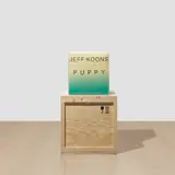 Subodh Gupta, Jeff the Koons (1), 2009, painted aluminum and wooden crate