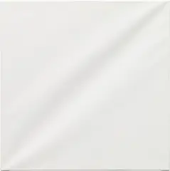 Olivier Mosset, Untitled (White Square), 2020, white latex paint on canvas