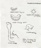 Untitled by Jean-Michel Basquiat, 1987, oilstick on paper, sold May 2024