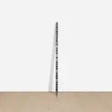 Roni Horn, Key and Cue, no. 1182 REMEMBRANCE HAS A REAR AND FRONT