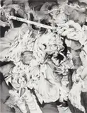 Anna Park, Catching Feelings, 2020, charcoal on paper mounted to panel