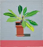 Guy Yanai, Young Plant Balcony, 2017, oil on canvas