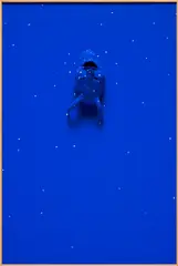 Calvin Marcus, Blue Devil, 2018, Cel-vinyl, ceramic and Flashe on aluminum panel, in artist's frame