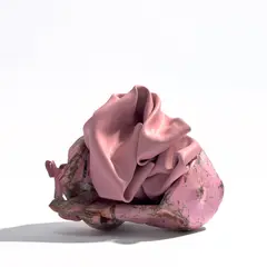 Kennedy Yanko, SK1, 2020, paint skin and metal