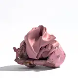 Kennedy Yanko, SK1, 2020, paint skin and metal