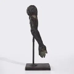 Kiki Smith, Meat Arm, 1992, cast phosphorous bronze and fabricated steel