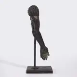 Kiki Smith, Meat Arm
