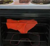 Shannon Cartier Lucy, New Home (oven), 2019, oil on canvas