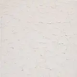 Tom Sachs, Alpine