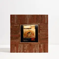 Theaster Gates, Ebony Vitrine, 2012, wood, Plexiglas, magazine pages and light