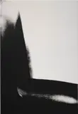 Shadow by Andy Warhol, 1978, silkscreen ink on linen, sold Nov 2024