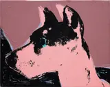 Andy Warhol, Cats and Dogs (Cecil), 1975–1976, acrylic and silkscreen ink on linen