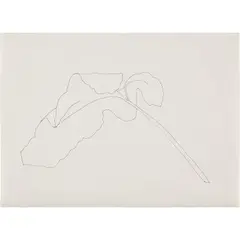 Ellsworth Kelly, Leaf, 1970, ink on paper