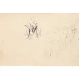 Willem de Kooning, Two Women