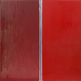 Pat Steir, Two Reds
