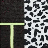 Vaughn Spann, Dalmatian No. 6 (Martha's Vineyard)