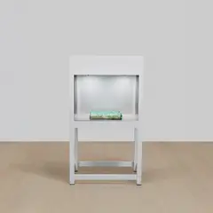 Michal Rovner, Zalach 1, 2004, steel vitrine with glass, stone and video projection