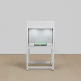 Michal Rovner, Zalach 1, 2004, steel vitrine with glass, stone and video projection