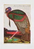 Walton Ford, Benjamin's Emblem, 2000, Etching in colors, on Somerset Satin paper, with full margins,