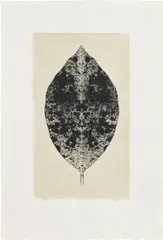 Leaf September 11 - December 7 by Bruce Conner, 2001, Lithograph, on green Kitakata Chine collé to Hahnemühle German Etching paper, with full margins, sold Feb 2024